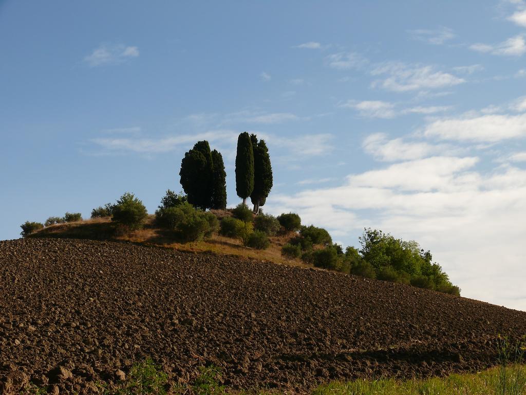 Due Torri Hotel San Severino Marche Exterior foto